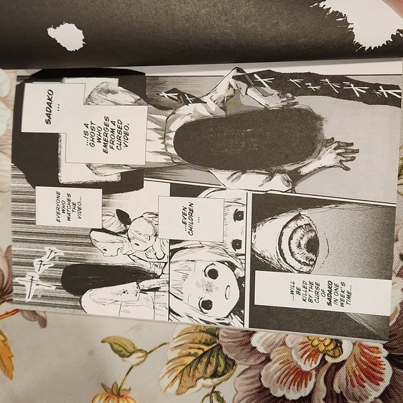 Sadako at the End of the World Manga - Picture 3 of 3